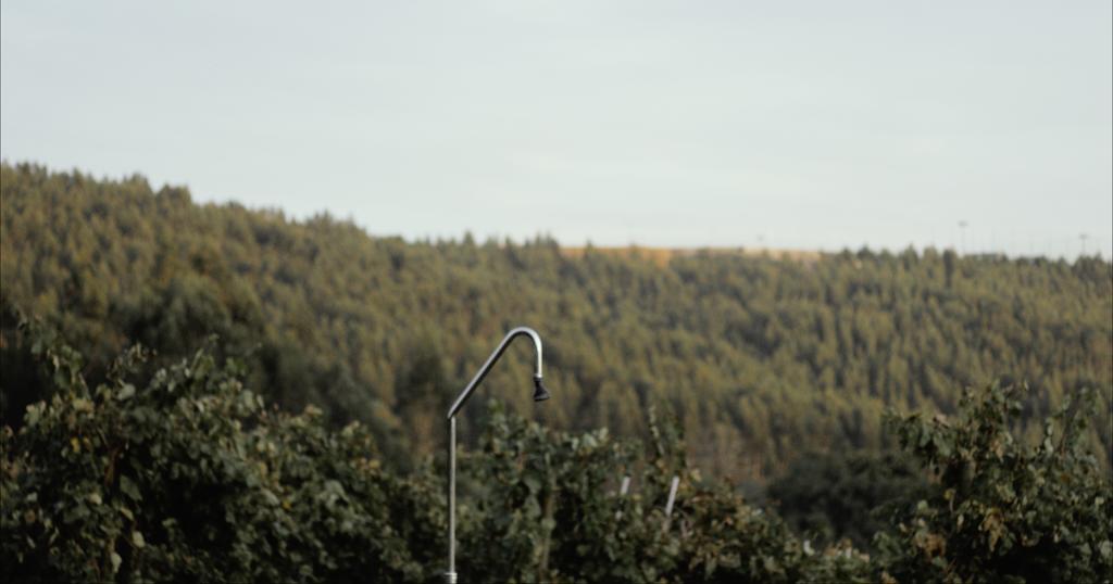 Quinta De Lourosa Konuk evi Lousada Dış mekan fotoğraf