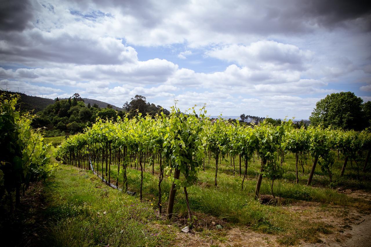 Quinta De Lourosa Konuk evi Lousada Dış mekan fotoğraf