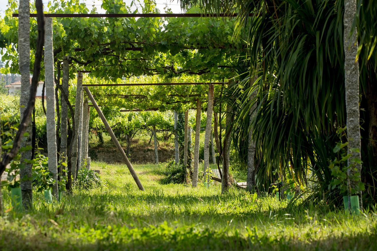 Quinta De Lourosa Konuk evi Lousada Dış mekan fotoğraf