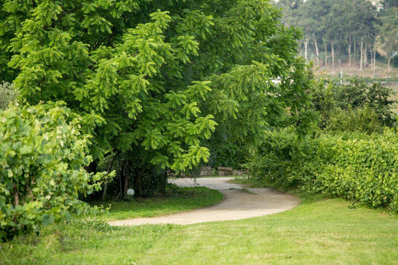 Quinta De Lourosa Konuk evi Lousada Dış mekan fotoğraf